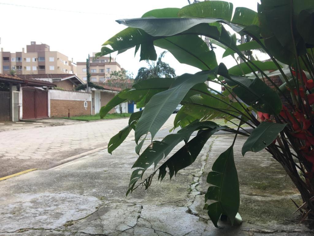 Efferus Hostel Ubatuba Dış mekan fotoğraf